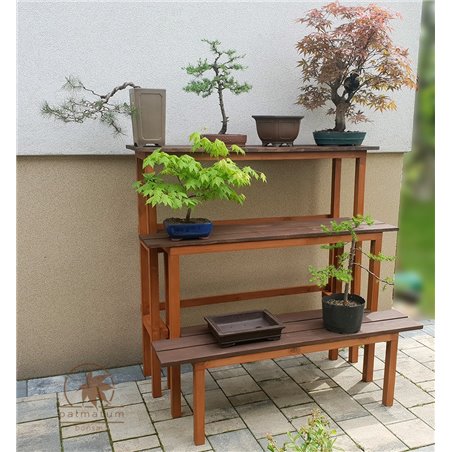 Garden bonsai display