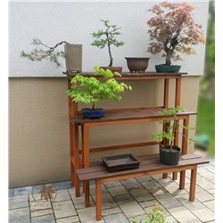 Garden bonsai display