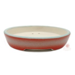 Bonsai pot 15cm oval glazed