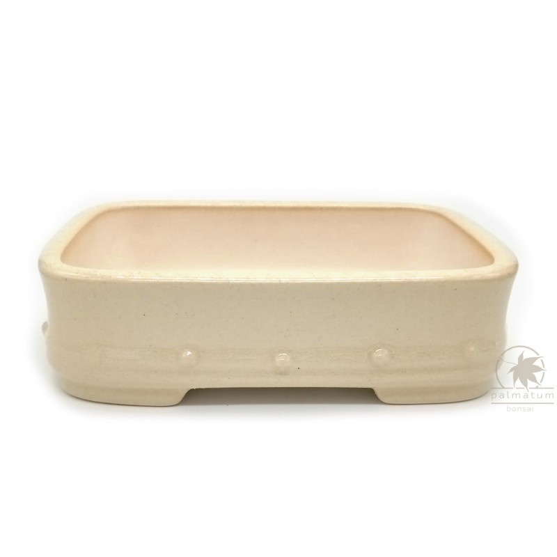 Rectangular glazed bonsai pot 15cm