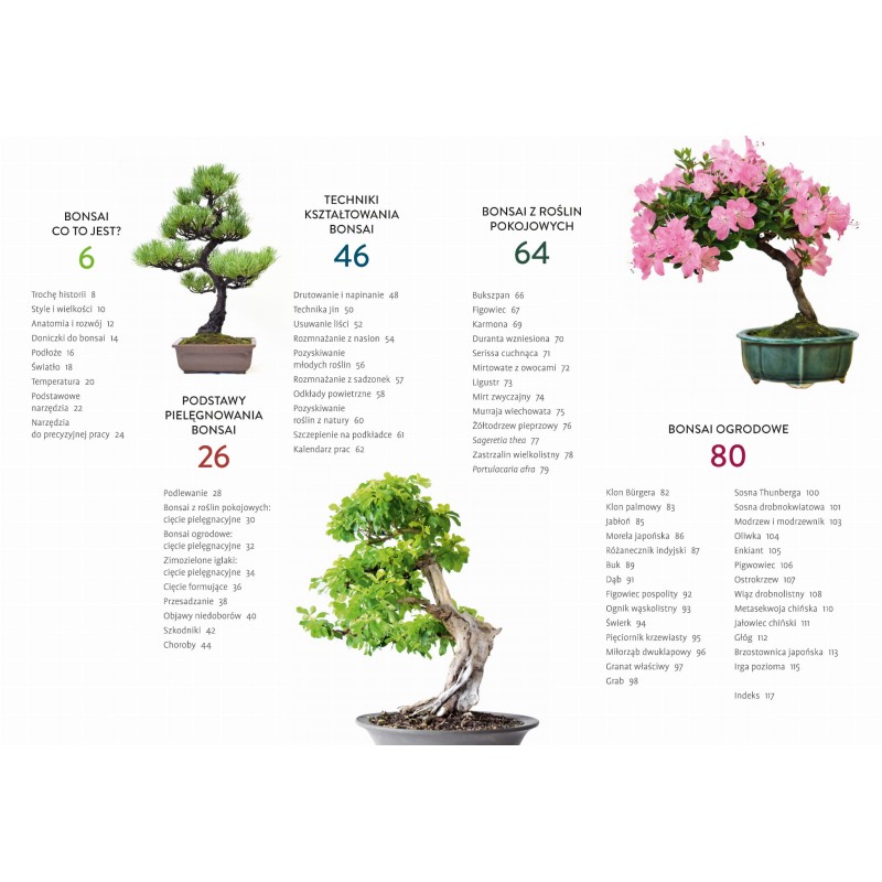 Ksika Bonsai - kurs podstawowy