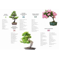 Bonsai - kurs podstawowy [PL]