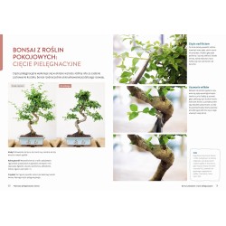 Bonsai - kurs podstawowy [PL]