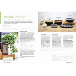 Bonsai - kurs podstawowy [PL]