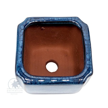 Square glazed bonsai pot 7cm
