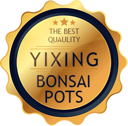 Certyfikat Najlepsze Donice Bonsai Yixing